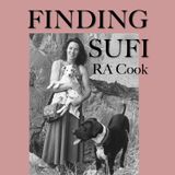 • 03 Finding Sufi