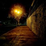 Lista de reglas extrañas para volver a casa