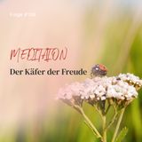 Der Käfer der Freude | ca. 21 Min | Folge 109
