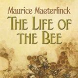 The Children’s Life of the Bee by Maurice Maeterlinck | Full Audiobook | Audiobook Time