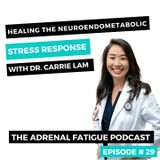 #29: Healing the NeuroEndoMetabolic (NEM) Stress Response with Dr. Carrie Lam