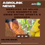 Podcast: Mercado do milho vive momento de crise entre oferta e demanda