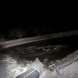 Officer Tells Story Of Lake Rescue - The Real Cost of Owning A Pet