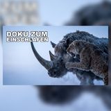 Deutschland vor 20.000 Jahren: Eine tödliche Wildnis | Doku zum Einschlafen