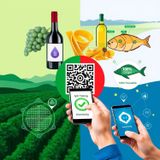 #23 - Blockchain & Food Traceability The Future of Transparency