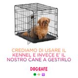 #094 - Crediamo di usare il kennel e invece è il nostro cane a gestirlo.