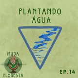 #014 Plantando Água