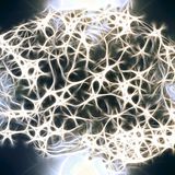 Brainrot: quando i meme sembrano conquistare il cervello