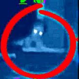 Alien Abductions and Terrifying Alien Encounters True Stories