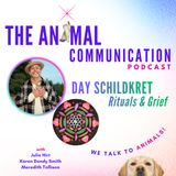 Day Schildkret on Ritual and Pet Loss