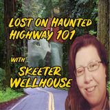 Sketter Wellhouse  Haunted Highway 101