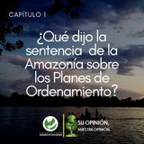 La sentencia de la Amazonía