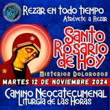 SANTO ROSARIO DE HOY, MARTES 12 DE NOVIEMBRE 2024🌹MISTERIOS DOLOROSOS. Rosario a la Virgen María.🌹