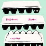 Cage-Free Lies: Deciphering Your Egg Carton