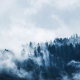 WEEK 22 - JUDGES 1-21