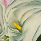 Georgia O'Keeffe - I suoi fiori. Sensualità e mistero
