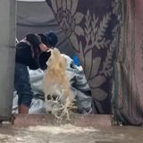 11 dicembre 2025 - Notiziario Mondo