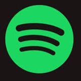 Spotify Topgold Audio