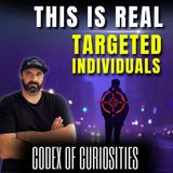 Targeted Individuals Gangstalking, Surveillance & Parasites: Inside the Mind of a TI