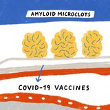 Amyloid Microclots Linked to Covid-19 Vaccines