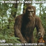 The Mysteries of the Salish Sasquatch!