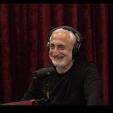 Joe Rogan Experience _2497 - Gad Saad
