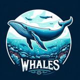 Orcas - Killer Whales