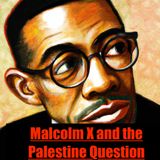 Malcolm X and the Palestine Question: A Journey of Solidarity and Dissent