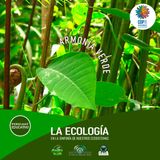 NUESTRO OXÍGENO Armonía verde - La ecología en la sinfonía de nuestros ecosistemas