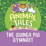 The Guinea Pig Gymnast
