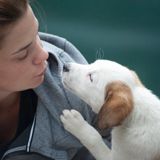 Cap. 12  l  Relación con tu mascota