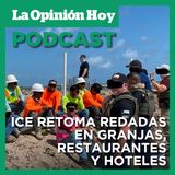 Luego de la suspensión anunciada por Trump, ICE retoma redadas.