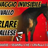 # 158 - Il Linguaggio Invisibile del Cavallo: parlare cavallese