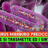 Il Virus Marburg Preoccupa: Come Si Trasmette ed I Sintomi!