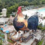 Hotel Chicken