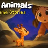 The Cutest Tiny Animals 🦒☺️ Calming Bedtime Stories for Kids 🐨 Children's Sleep Story Collection - Koala Moon - Kids Bedtime Stories (1)