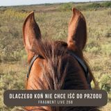 Dlaczego koń nie chce iść do przodu - fragment live 268