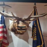 Let's meet the Benevolent Protected Order of Elks