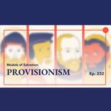 Episode 232: Explaining Provisionism