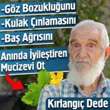 Göz Bozukluğunu, Baş Ağrısını, Kulak Çınlamasını Anında İyileştiren Mucizevi Ot