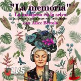 EP 3 La memoria- La mariposa en la selva con Alice Bettolo 🦋