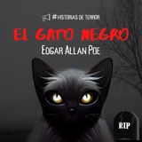 El gato negro (Edgar Allan Poe) | Cuento de Terror 5