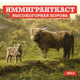 Высокогорная Корова - выпуск 213
