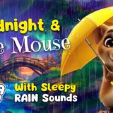 RAIN and Storytelling_ Midnight and the Mouse 🐭☔️ Cozy Kids Bedtime Stories _ With Rain Sleep Sounds