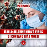 Italia, Allarme Nuovo Virus: Si Contano Già I Morti!