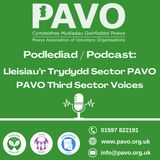 Lleisiau’r Trydydd Sector PAVO Third Sector Voices - episode 1