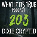 Archive 203 - The Hat Man by Rebecca Lee Wesson