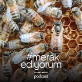 #KraliçeArı Sendromu nedir ve neden bir #mobbing mekanizmasıdır? - S01E02