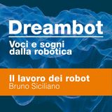 Il lavoro dei robot - Bruno Siciliano