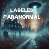 Labeled Paranormal- Men in Black